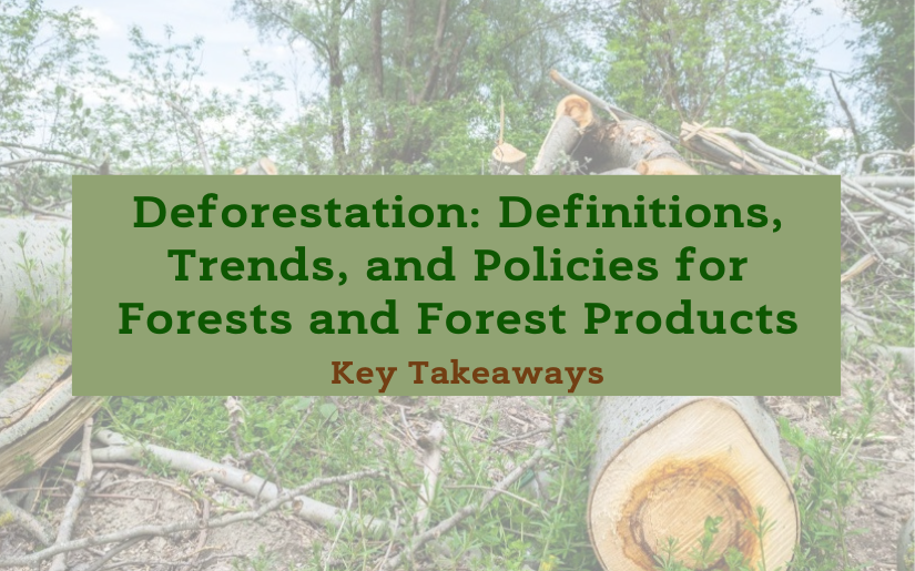 Key Takeaways: Deforestation: Definitions, Trends, and Policies for Forests and Forest Products